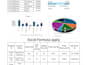 do professional microsoft excel word and power point project